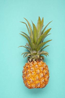 Mavi arka plan üzerinde Tropikal ananas meyve üst görünümü. Yaz tatili, seyahat, turizm konsepti düz yatıyordu. 