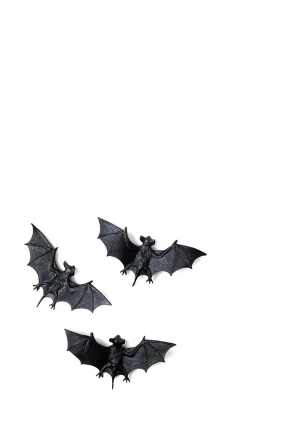 Vista superior de la decoración de Halloween con murciélagos de plástico. Fiesta, invito —  Fotos de Stock