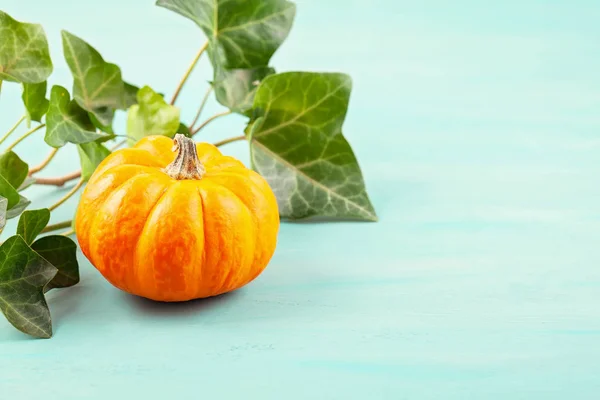 Calabazas Hojas Sobre Fondo Pastel Espacio Para Copiar Otoño Cosecha — Foto de Stock