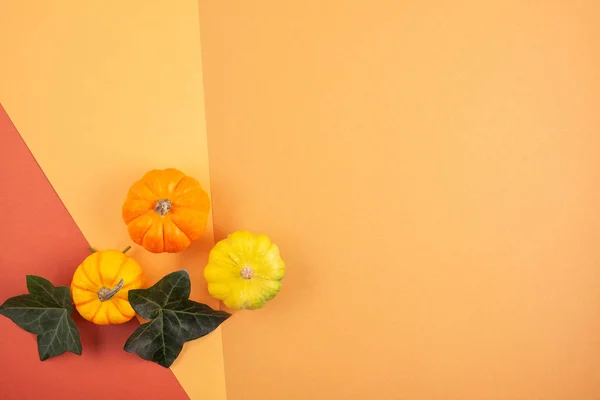 Calabazas Hojas Sobre Fondo Pastel Espacio Para Copiar Otoño Cosecha — Foto de Stock