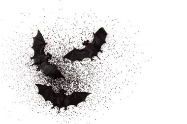 Plastik yarasalar ile Halloween dekorasyon üst görünümü