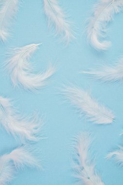 Pastel arka plan üzerinde yumuşak yumuşak beyaz tüyler deseni