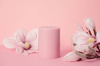 Hassas çiçek kokulu mum pastel pembe arkaplan üzerinde