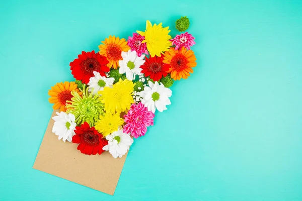 春と夏の色の花とフラットレイアウト — ストック写真