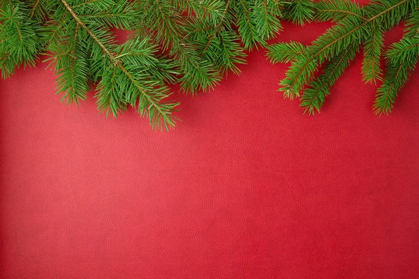 Fronteira feita de pinho de natal sobre fundo vermelho — Fotografia de Stock