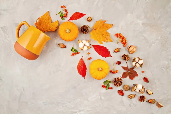 Autumn leaves, pumpkins, berries pour out of a pitcher on a grey — Stock Photo, Image
