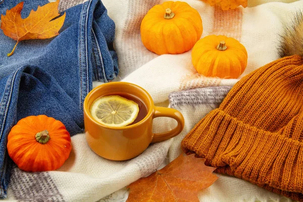 Composición plana de otoño con hojas de otoño, taza de té caliente, sc —  Fotos de Stock