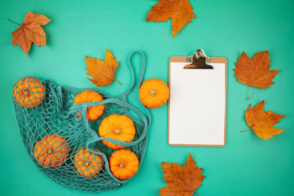 Calabazas de color naranja brillante en bolsa de malla y bloc de notas vacío para shoppin — Foto de Stock