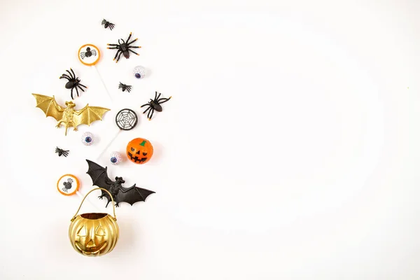 Halloween pumpkin with Halloween party objects, bats, spiders an — Stock Photo, Image