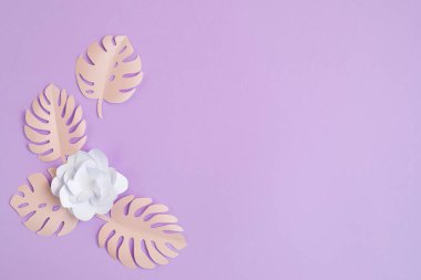 Pastel arka planda kağıt tropik yapraklar ve çiçekler. Yaz egzotik tatilleri, tebrik kartı maketleri. DIY projesi fikri. Üst görünüm düzlüğü