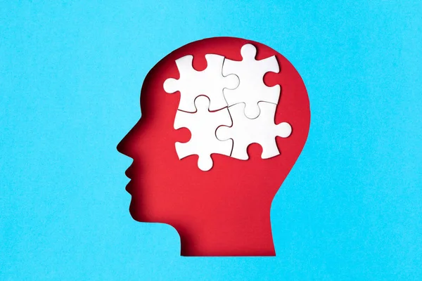 Papercut Head Jigsaw Puzzle Pieces Mental Health Problems Psychology Memory — Stock Photo, Image