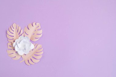 Pastel arka planda kağıt tropik yapraklar ve çiçekler. Yaz egzotik tatilleri, tebrik kartı maketleri. DIY projesi fikri. Üst görünüm düzlüğü