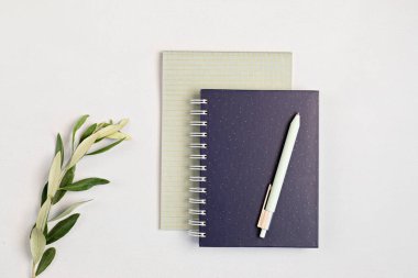 Organik renk sabitleyici ile biçimlendirilmiş minimal masaüstü modeli. Serbest çalışan, sosyal medya blogcusu konsepti. Düz konum, üst görünüm, kopyalama alanı.