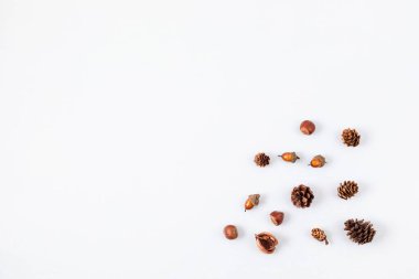 Sonbahar düz kompozisyonu. Açık gri arka planda çam kozalakları ve fındıklar. Sonbahar, sonbahar konsepti. Model, üst görünüm, kopyalama alanı