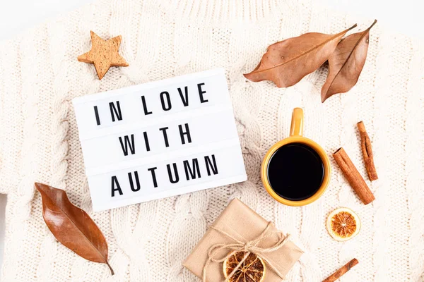 Podzimní Plochá Kompozice Světelnou Skříňkou Frází Zamilovaný Podzimu Podzim Pád — Stock fotografie