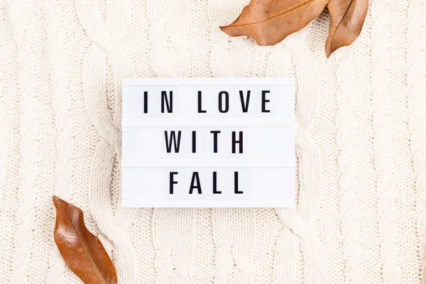 Outono Composição Flat Lay Com Lightbox Com Frase Amor Com — Fotografia de Stock