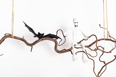 Beyaz duvardan sarkan ağaç dalında asgari cadılar bayramı süsü. Tebrik kartı, tatil dekorasyonu konsepti. Boşluğu kopyala