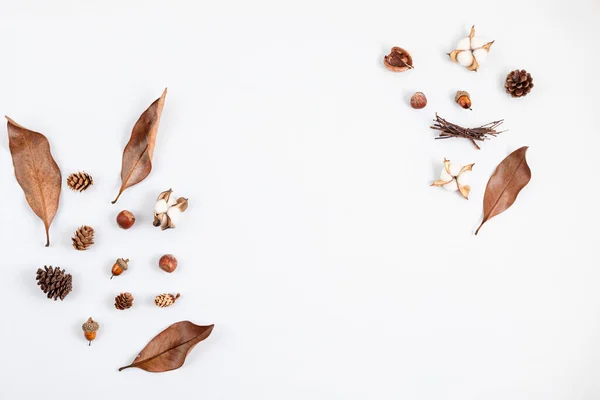Podzimní Plochá Kompozice Bavlněné Květiny Sušené Listy Ořechy Světle Šedém — Stock fotografie