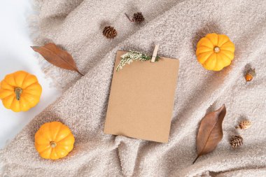 Sonbahar düz kompozisyonu. Balkabakları, kurumuş yapraklar ve boş tebrik kartı. Sonbahar, sonbahar konsepti. Model, üst görünüm, kopyalama alanı