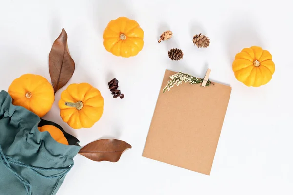 Autumn Flat Lay Composition Pumpkins Dried Leaves Nuts Autumn Fall — Stock Photo, Image