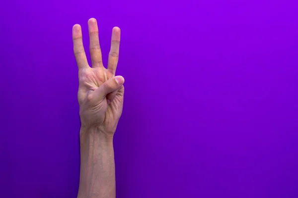 Set of counting hands isolated on nice paper purple background for blog or site left hand