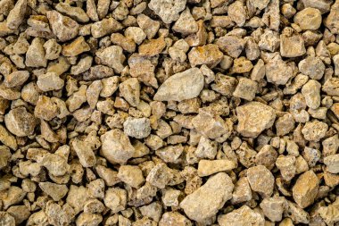 Sarı iyi ezilmiş taş coquina backgrond