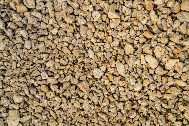 Sarı iyi ezilmiş taş coquina backgrond