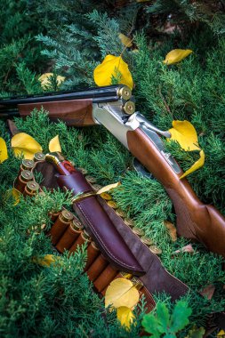 kartuşları ve yeşil çam dalları üzerinde yalan bir deri çanta, bir bıçak ile bir açık av tüfeği. avcılık kavramı