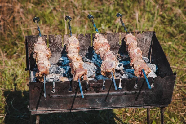 Carne Porco Uma Fogueira Aberta Cozinhar Carne Uma Fogueira Agitar — Fotografia de Stock