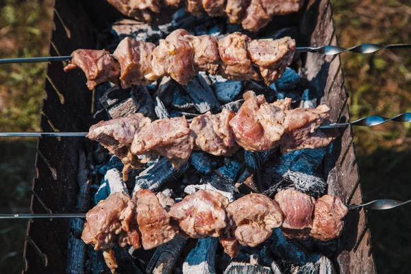 Carne Porco Uma Fogueira Aberta Cozinhar Carne Uma Fogueira Agitar — Fotografia de Stock