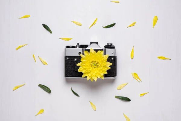 Vintage camera with a yellow flower instead of a lens.  old came