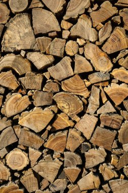 Özenle yığılmış odun. Kuru doğranmış kütüklerin arka planı