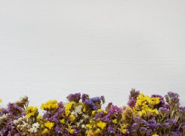 beyaz ahşap sırt renkli kuru yabani çiçekler. Kurutulmuş renk fl