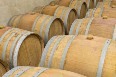 Şarap fıçıları şaraphanenin mahzeninde yığılmış. Şarap varil i