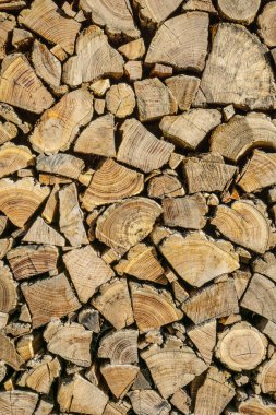Özenle yığılmış odun. Kuru doğranmış kütüklerin arka planı