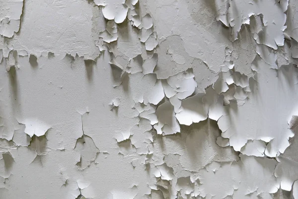 Vit sprucken färg på väggen. Gammal målad vägg. Grungy cracke — Stockfoto