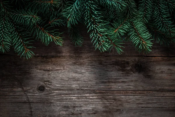 Moldura verde de Natal de ramos de abeto em um velho bac de conselho cinza — Fotografia de Stock