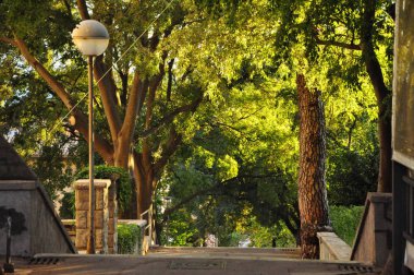 Büyüleyici döşeli sokak yeşil çiçek açan ağaçlar, Rijeka dolu