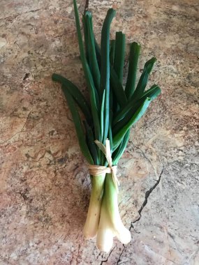 Genç soğan taze demet