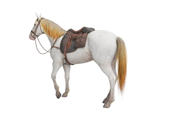 Άλογο λευκό με τα χαλινάρια απομονωμένη 3D απόδοση σε λευκό φόντο n — Φωτογραφία Αρχείου