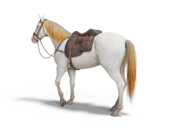 Cavallo bianco con briglia isolata resa 3d su sfondo bianco w — Foto Stock