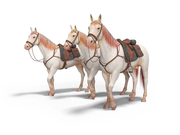Tre cavalli in briglia andare 3d rendering su sfondo bianco con sha — Foto Stock