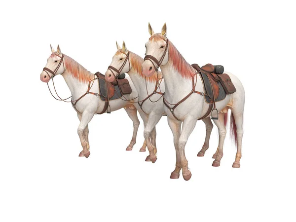ブライドルで3頭の馬は、白い背景に3Dレンダリングを行くいいえシャド — ストック写真