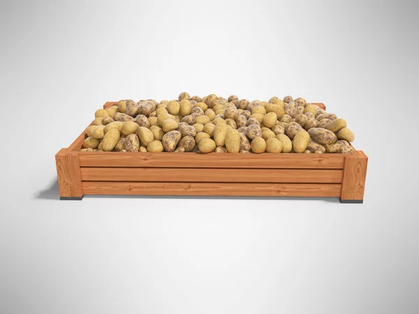 Fresh potatoes on wooden pallet 3d render on gray background wit — Stock Photo, Image