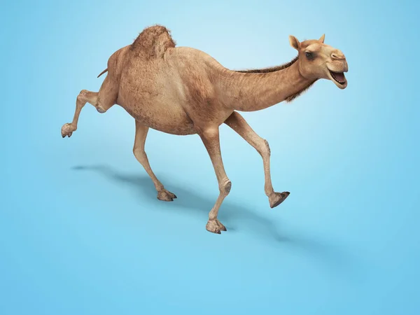 Camel ejecutar representación 3d sobre fondo azul con sombra —  Fotos de Stock