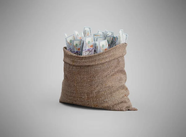 3d rendering bag of money on gray background with shadow