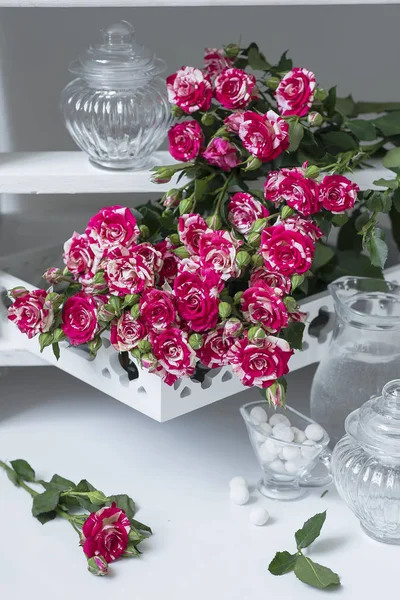 Florido Fragante Rosa Grande Flor — Foto de Stock