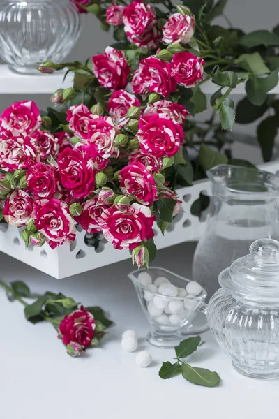Florido Fragante Rosa Grande Flor — Foto de Stock