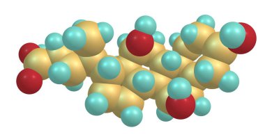 Kolik asit suda çözünmez birincil bir safra asidi, beyaz bir kristal madde. Kolik asit tuzları cholates adı verilir. 3D çizim