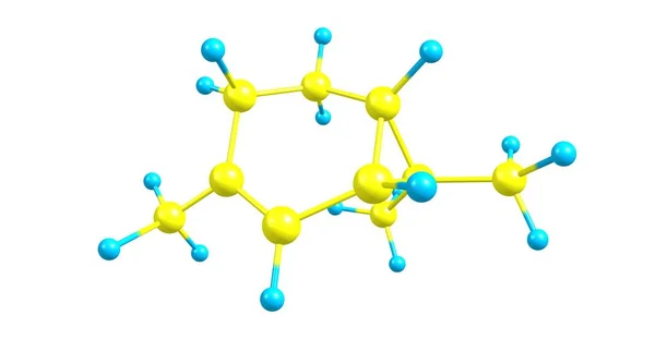 Carène Delta Carène Est Monoterpène Bicyclique Composé Cycles Cyclohexène Cyclopropane — Photo